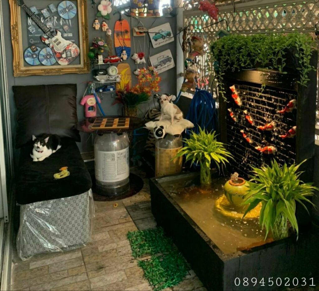 ม่านน้ำตก ปลาคราฟ